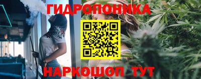 прущая мука Тара