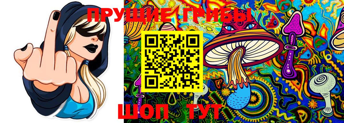 Галлюциногенные грибы прущие грибы  Галлюциногенные грибы Cubensis  Вход с VPN  Оренбург 