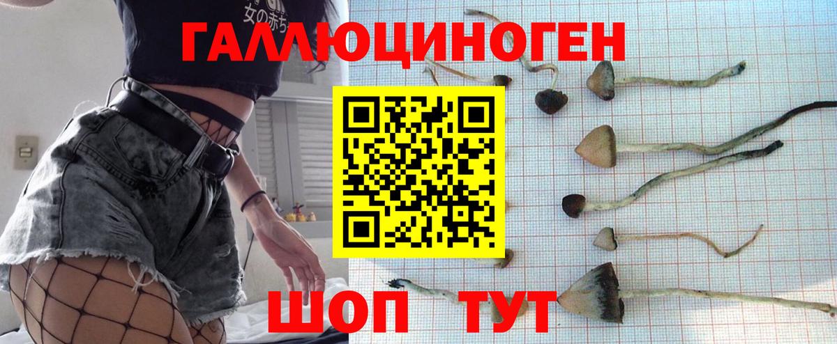 Псилоцибиновые грибы Magic Shrooms Оренбург